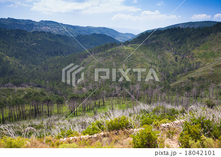 Wild mountain landscape. South of Corsica island 18042101