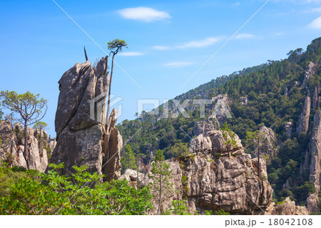 Wild mountain landscape, pine trees on rock 18042108