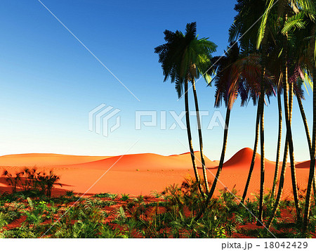 African oasis 18042429