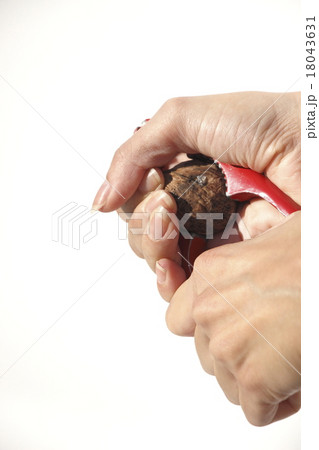 Nutcracker Nutcracker 18043631