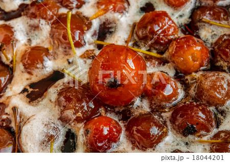 cooked fresh homemade paradise apple jam 18044201