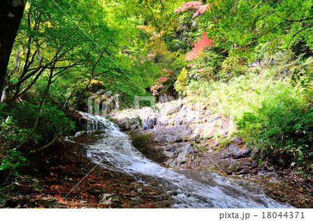 あだたら渓谷 昇竜の滝 2015初秋 あだたら渓谷 昇竜の滝 2015初秋 18044371