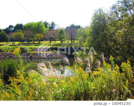 北柏ふるさと公園 北柏ふるさと公園 18045230