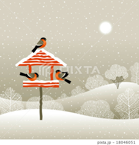 Birdfeeder in winter forest 18046051