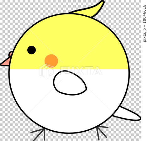 Maruko (cockatiel and rucino) 18046618
