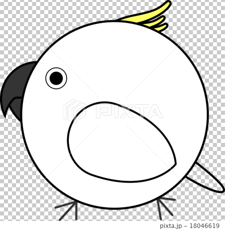 Maruko(Kibatan) Maruko(Kibatan) 18046619