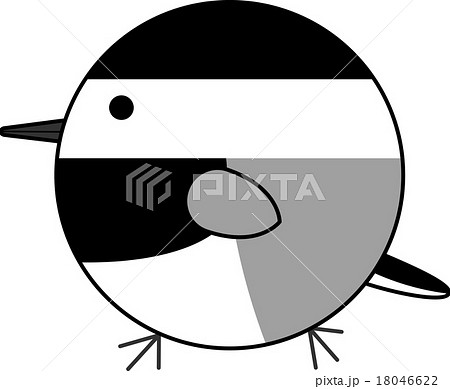 丸鳥 ハクセキレイ のイラスト素材
