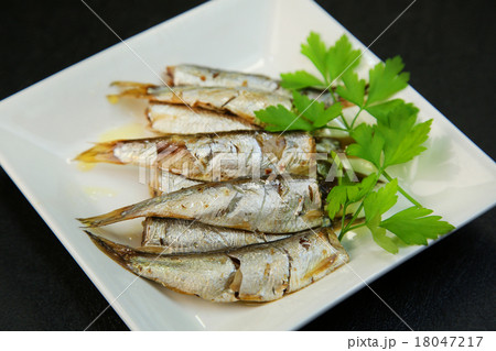 オイルサーディン オイルサーディン 18047217