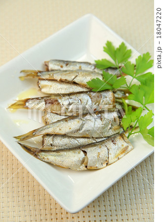 オイルサーディン オイルサーディン 18047220