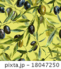 Seamless pattern with branches of the olive tree 18047250