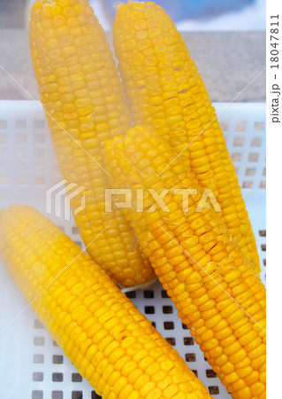 別府・地獄蒸し(とうもろこし) 別府・地獄蒸し(とうもろこし) 18047811