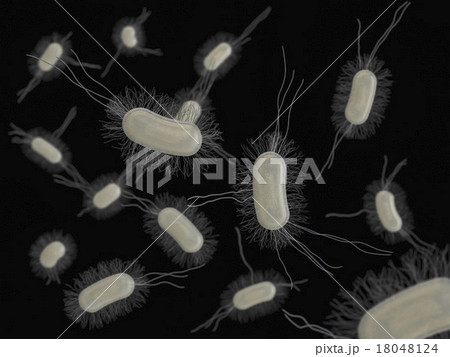 大腸菌　平面的分布（黒バック） 18048124