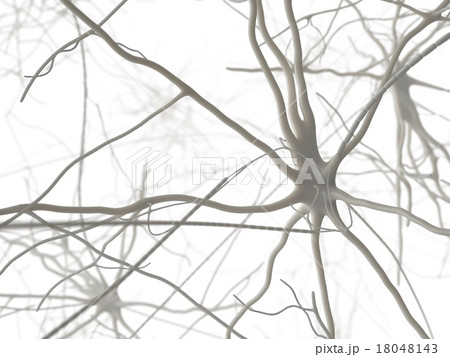 神経細胞 白バック のイラスト素材