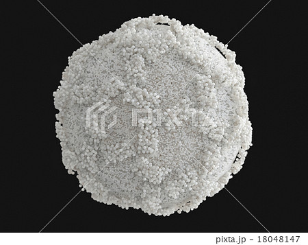 ノロナウイルス単体（黒バック） 18048147