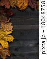 Wood autumn background 18048758