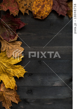 Wood autumn background Wood autumn background 18048758