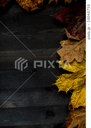 Wood autumn background Wood autumn background 18048759
