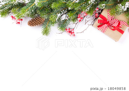 Christmas tree branch with gift box 18049858