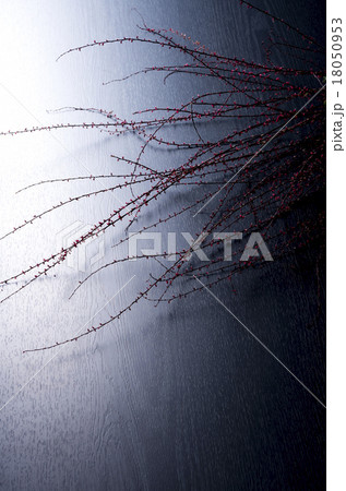 和風素材 18050953