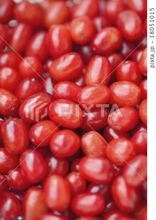 サンシュユの果実 18051015