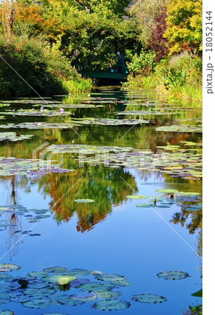 モネの庭 モネの庭 18052144
