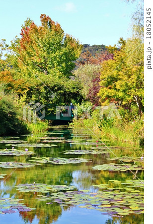 モネの庭 18052145