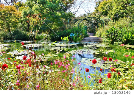 モネの庭 18052146