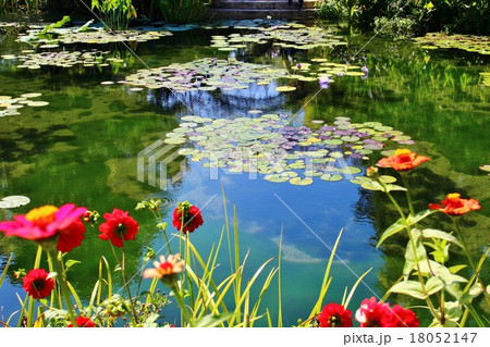 モネの庭 18052147