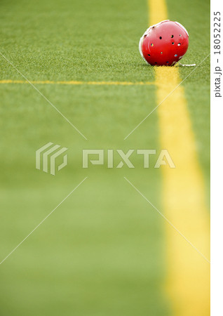 アメリカンフットボール 18052225