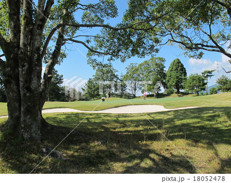 グリーン 18052478