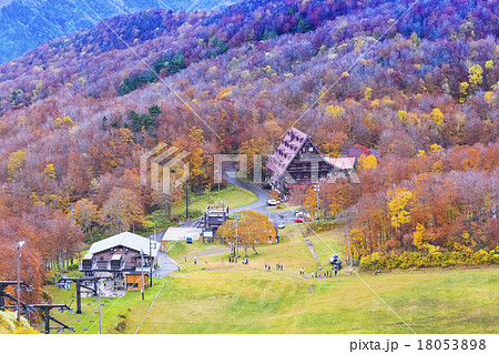 山形蔵王・紅葉の中央高原散策路 18053898