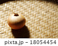 たまねぎ 18054454