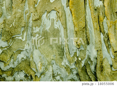 old stone texture 18055006