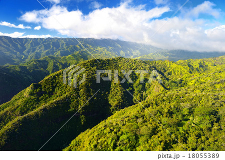 Stunning aerial view of spectacular jungles, Kauai 18055389