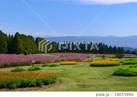 生駒高原 生駒高原 18055660