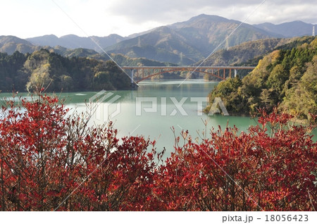 秋色の宮ヶ瀬湖 18056423