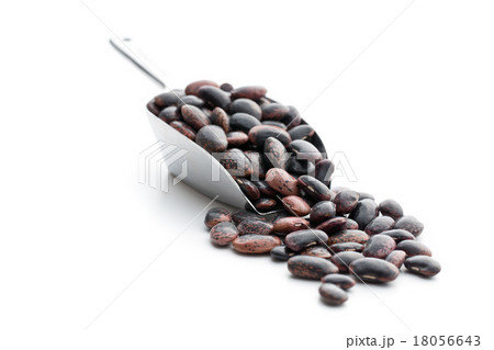 dried beans in scoop 18056643