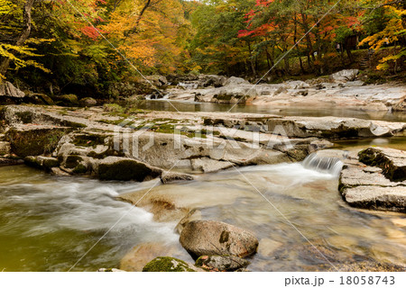 遠野市重湍渓 18058743