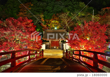 室生寺 紅葉ライトアップ 室生寺 紅葉ライトアップ 18060000
