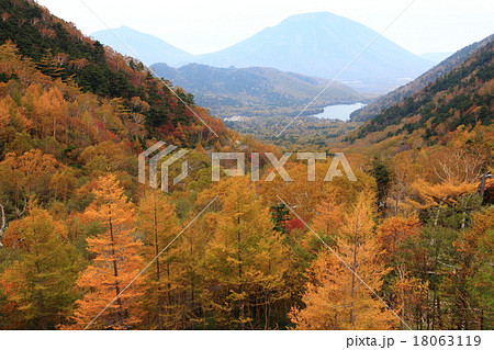 金精峠紅葉 18063119