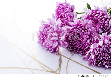 和花 和花 18063652