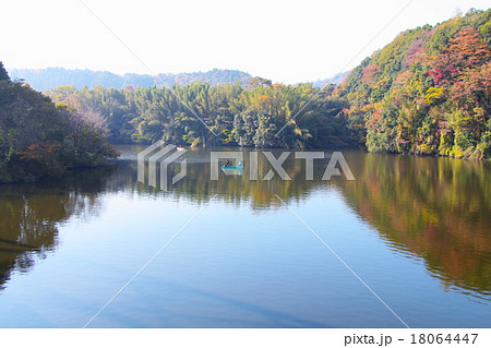亀山湖の紅葉（千葉） 18064447