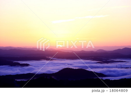 雲海7142- 雲海7142- 18064809