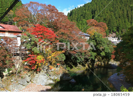 紅葉　みたらい渓谷　奈良県 18065459