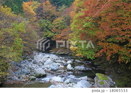紅葉　みたらい渓谷　奈良県 18065533
