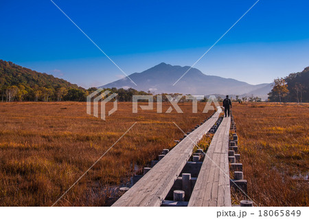 尾瀬の湿原を歩く人々 18065849