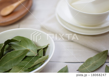 ローレルと白い食器 18068247