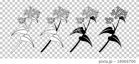 そばの花 18068700