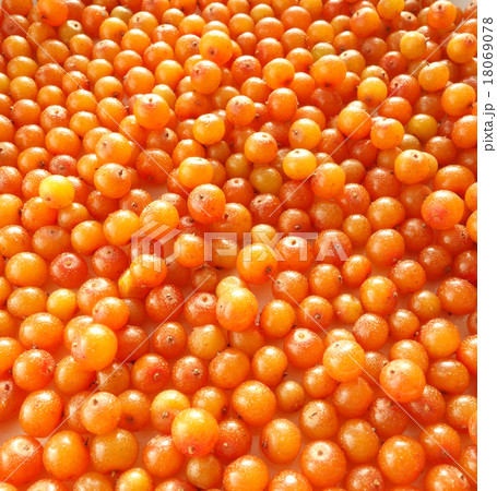 シーベリー 18069078