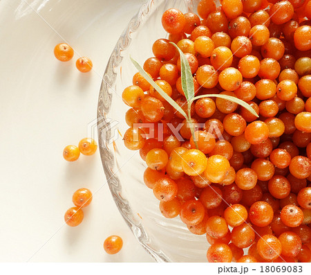 シーベリー 18069083